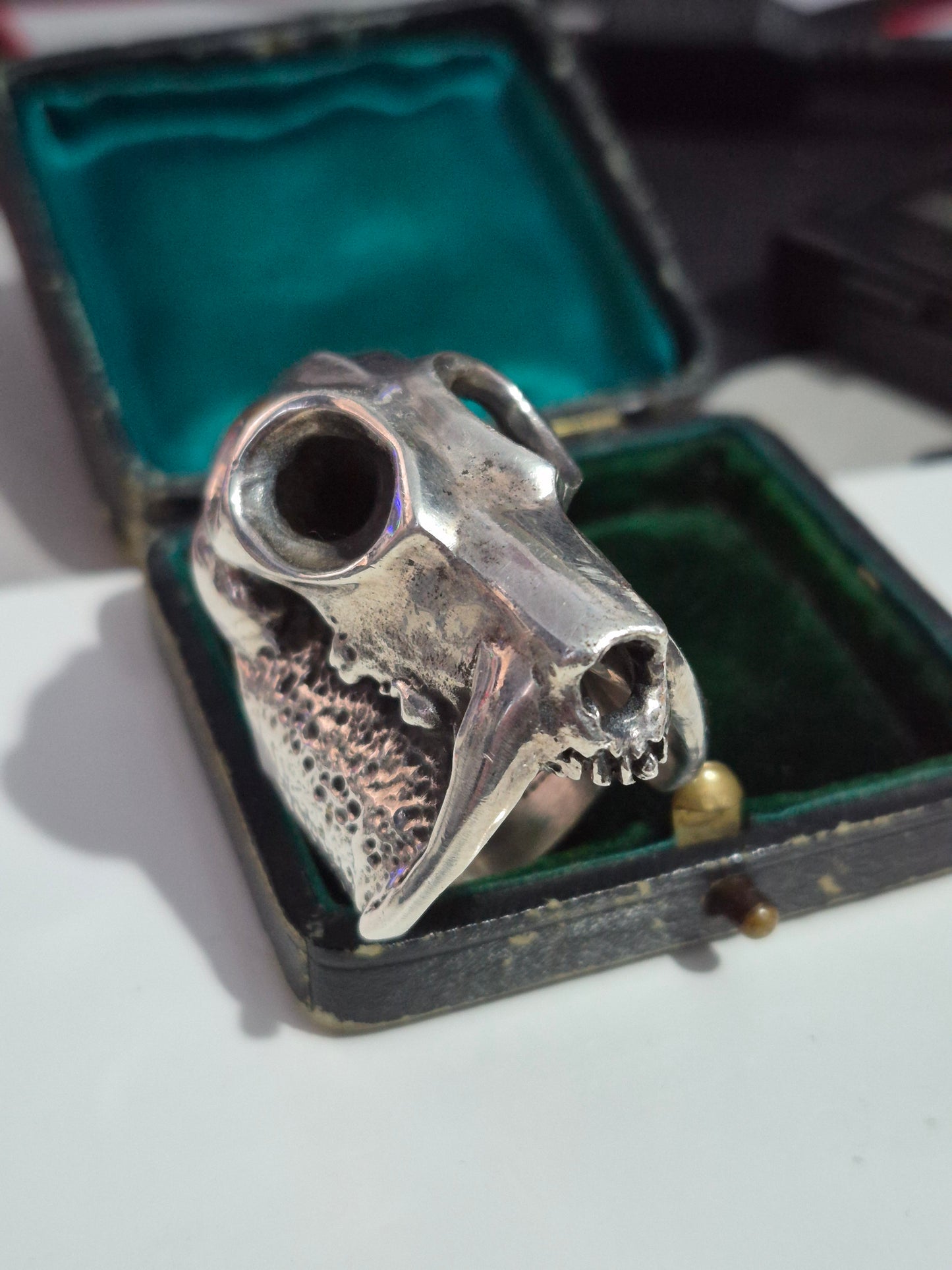Mens Sabretooth Tiger Skull Ring By Wildcat. Heavy Sterling Silver 925. Sz Y 1/2.