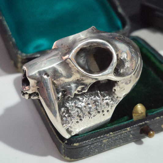 Mens Sabretooth Tiger Skull Ring By Wildcat. Heavy Sterling Silver 925. Sz Y 1/2.